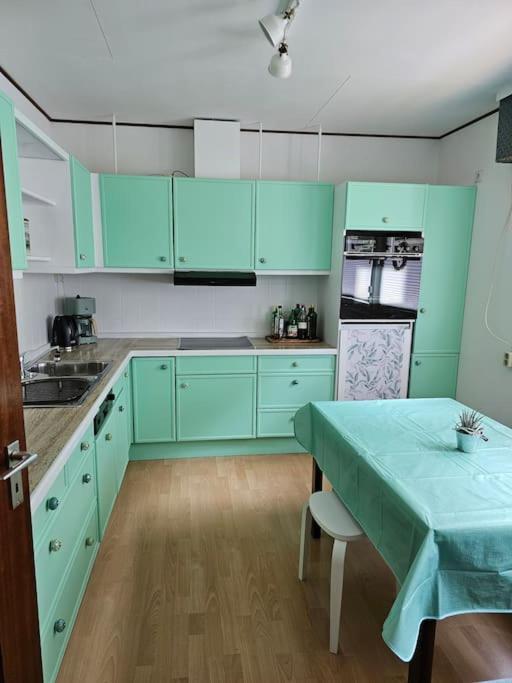 Grosse Ferienwohnung Am Waldrand シェーナウ エクステリア 写真
